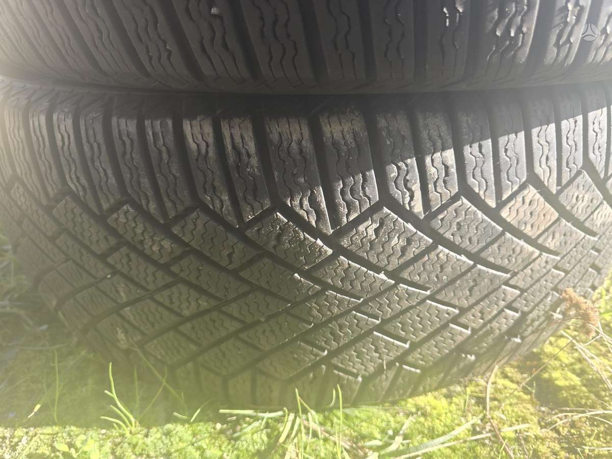 Continental, žieminės 235/45 R19