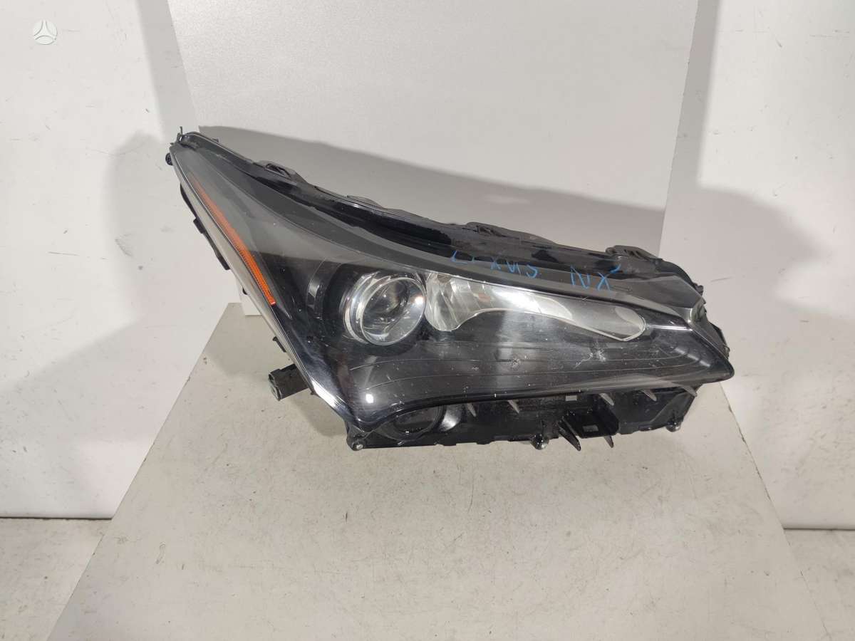 Lexus NX klasė doors, lights