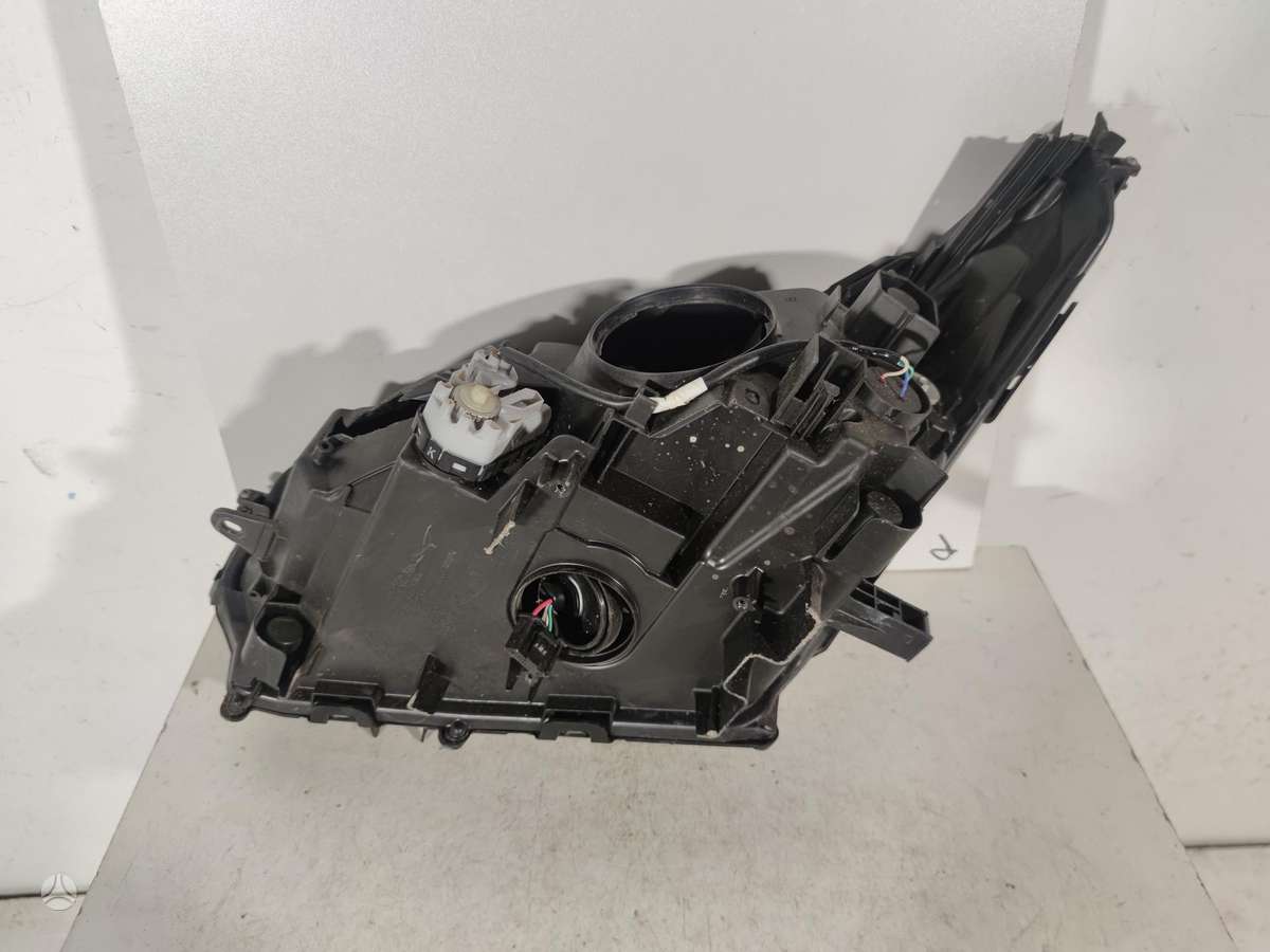 Lexus NX klasė doors, lights