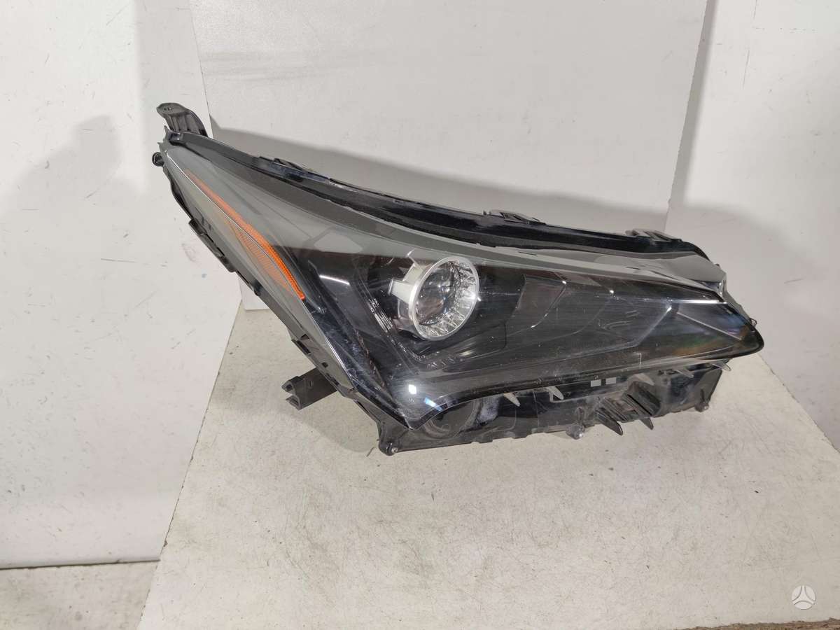 Lexus NX klasė doors, lights