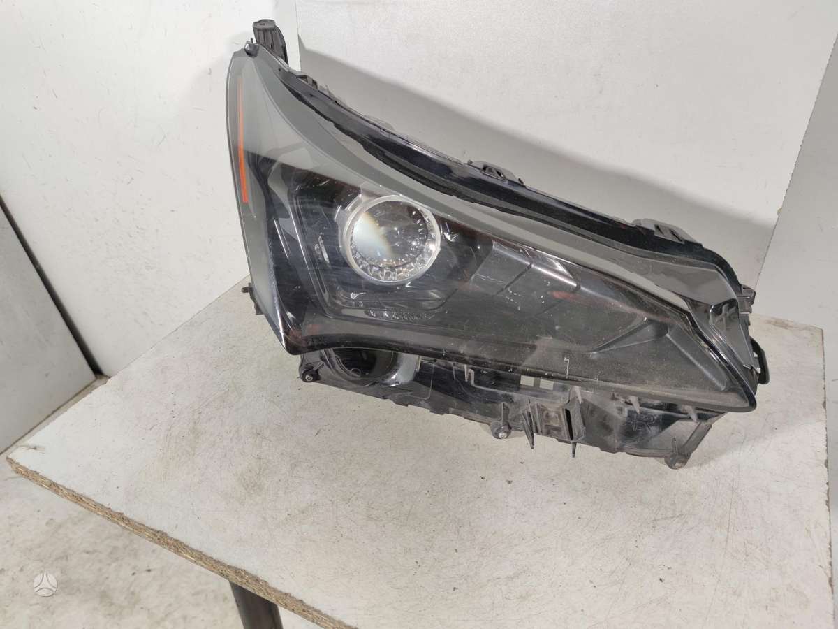 Lexus NX klasė doors, lights