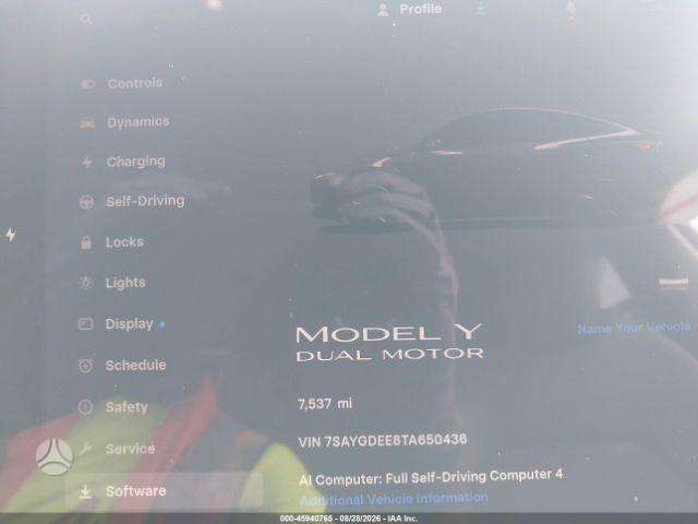Tesla Model Y, Внедорожник / Кроссовер