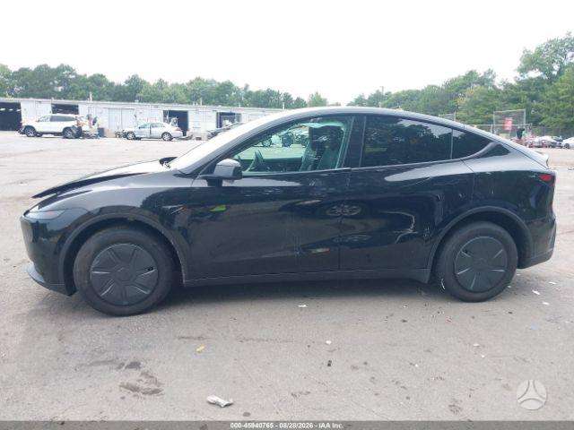 Tesla Model Y, Внедорожник / Кроссовер