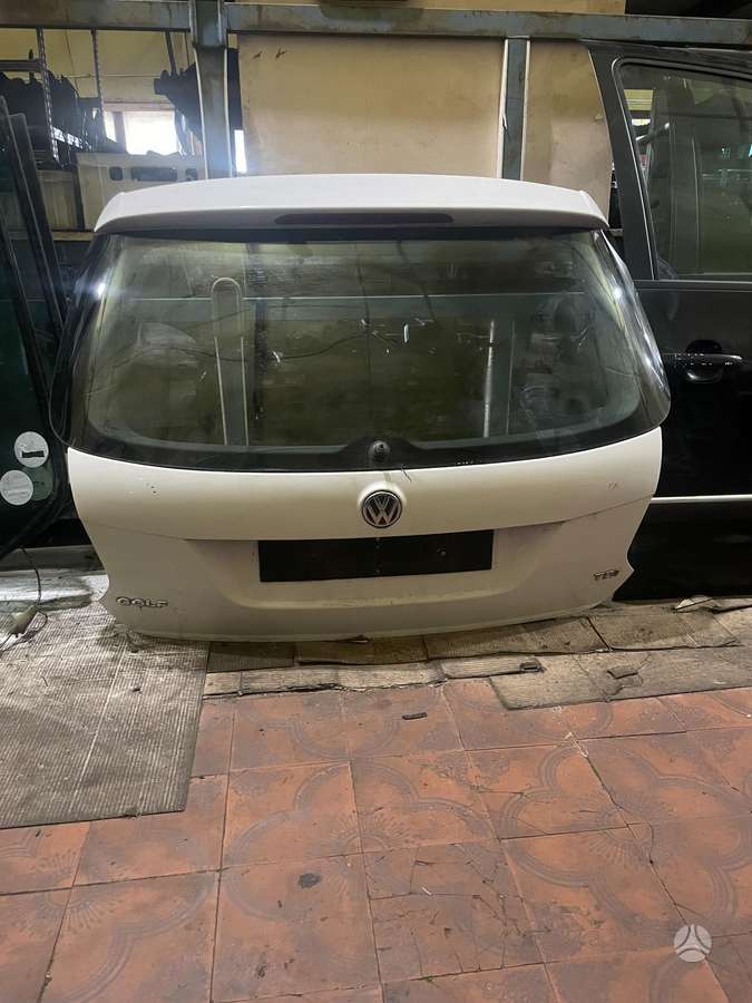 Volkswagen Golf Be rudziu
