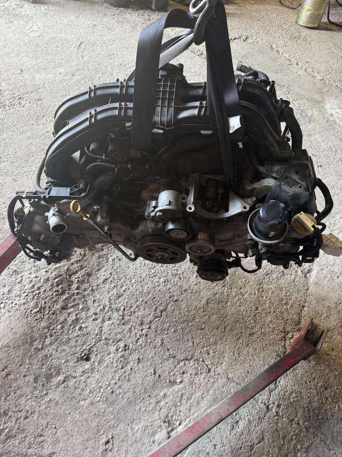 Subaru Outback Prapusta galva