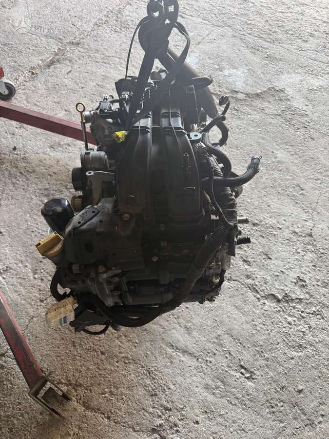 Subaru Outback Prapusta galva