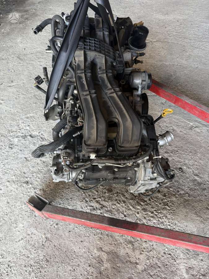 Subaru Outback Prapusta galva