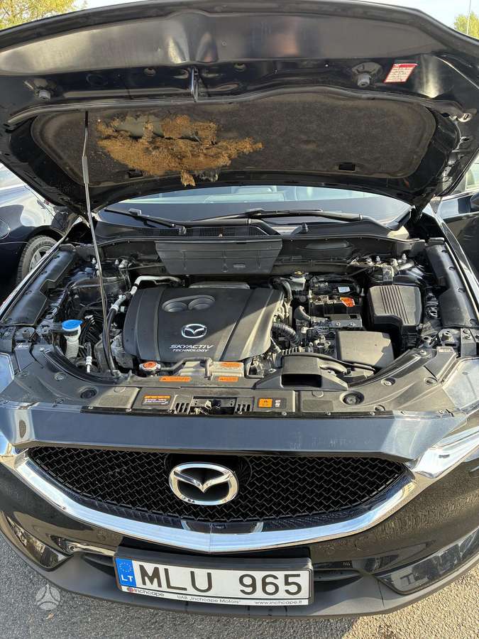 Mazda CX-5, 2.0 l., Внедорожник / Кроссовер