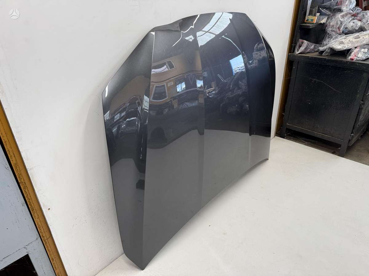 Audi e-tron dangtis (priekinis, galinis)