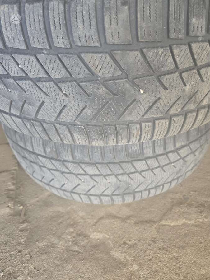 Sunny, žieminės 235/55 R17