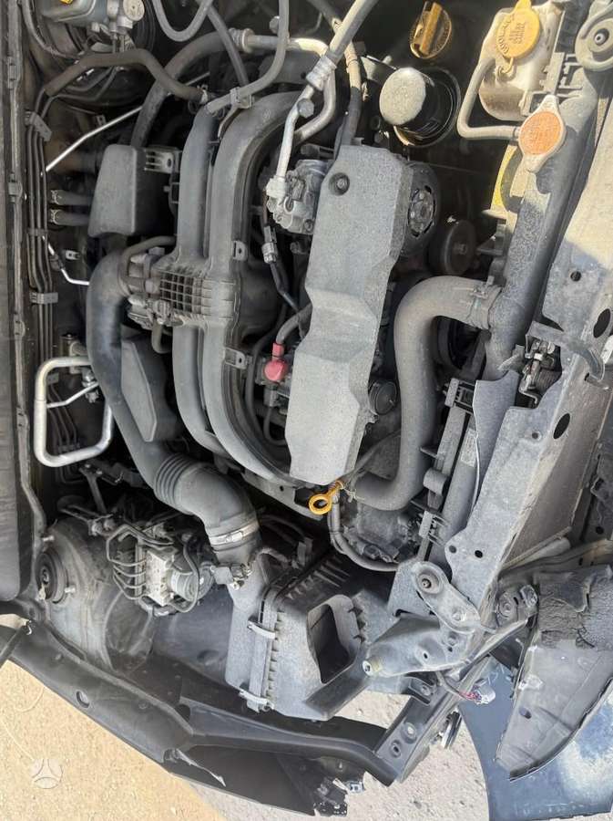 Subaru Outback, 2.5 l., universalas