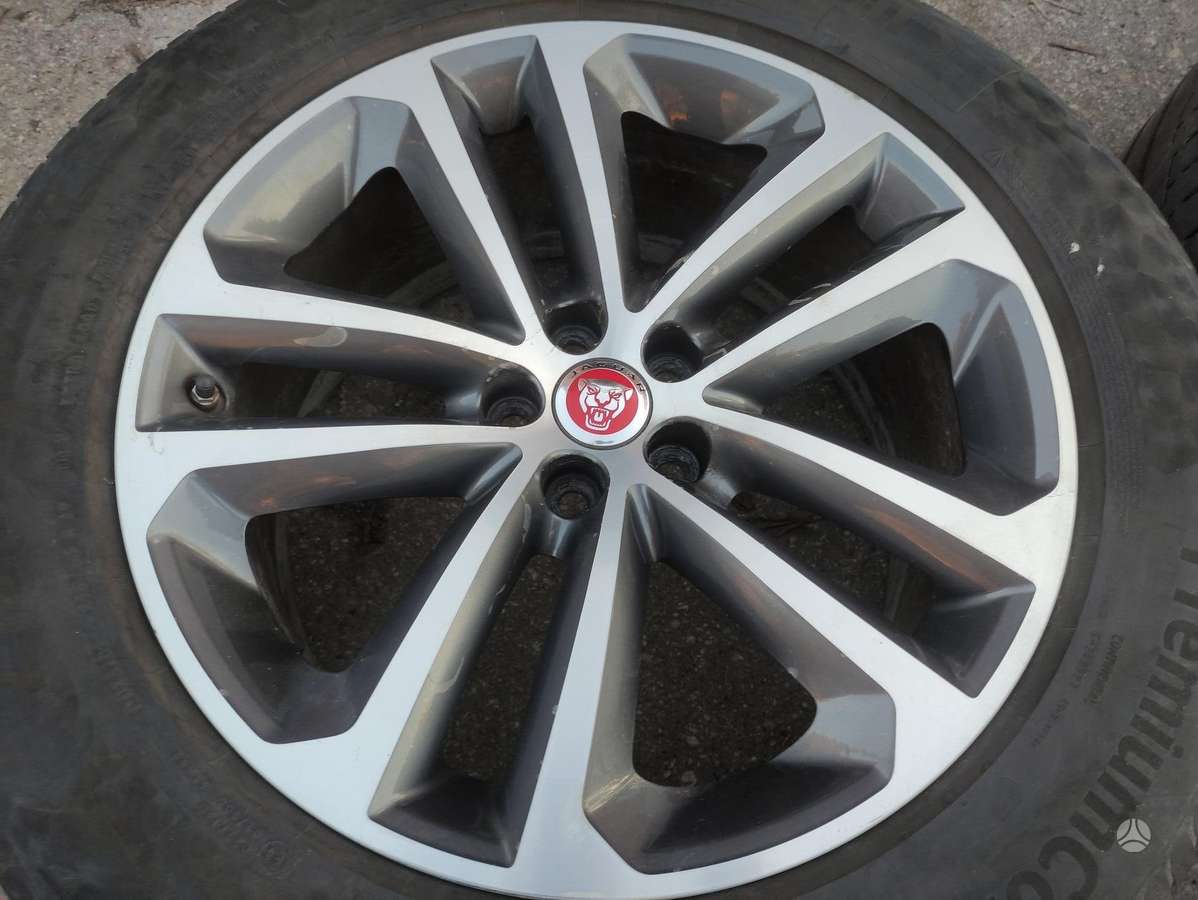 Jaguar, light alloy, R19