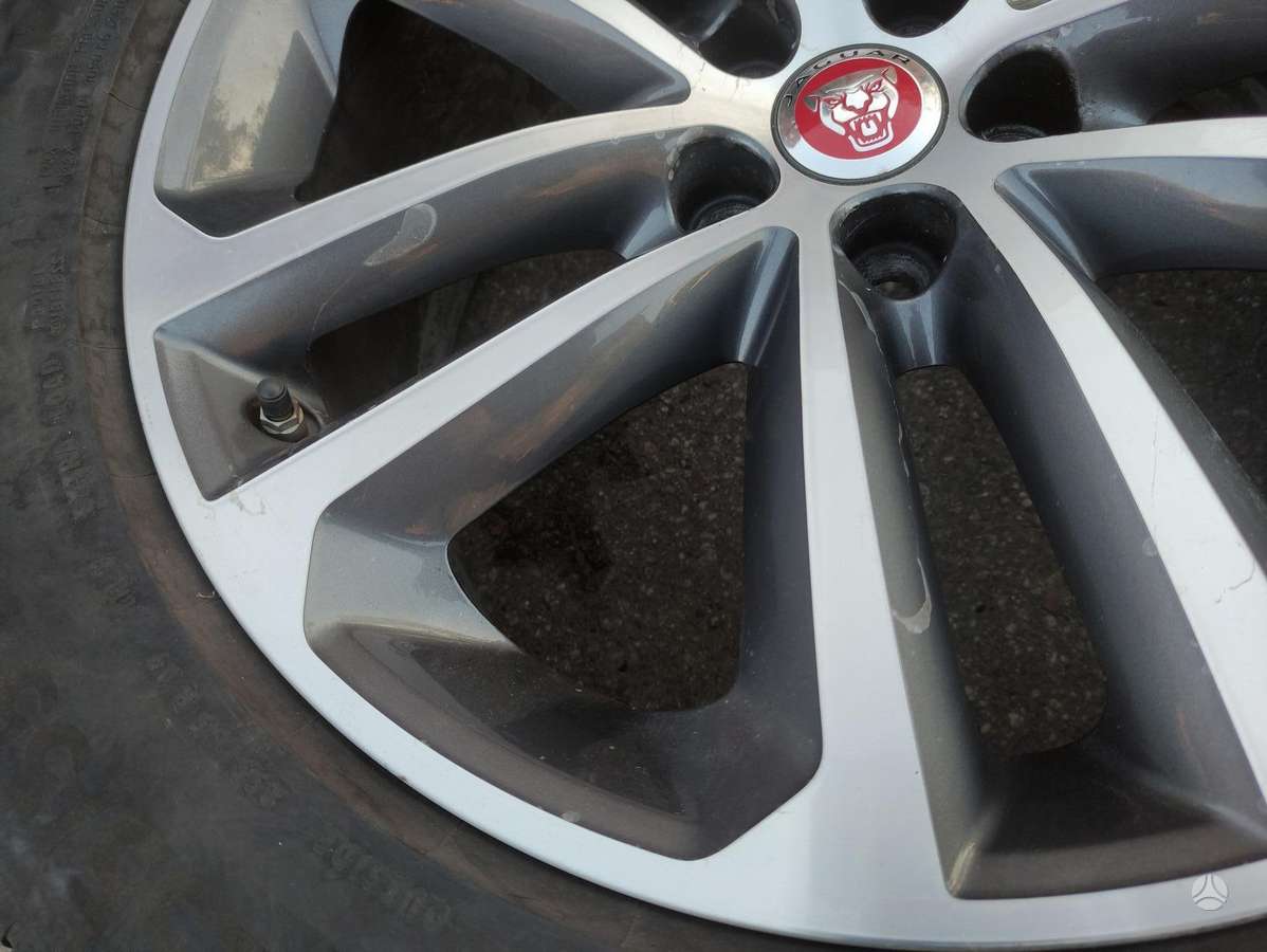 Jaguar, light alloy, R19