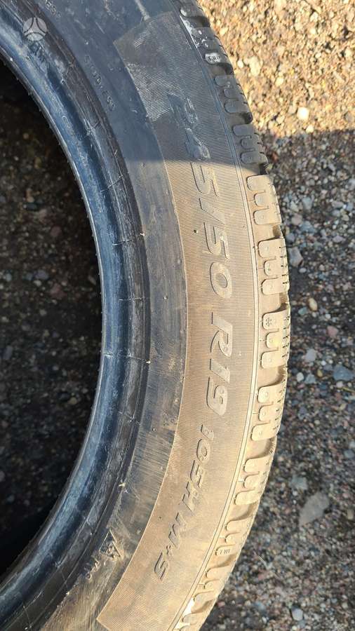Pirelli P Zero Winter, žieminės 245/50 R19