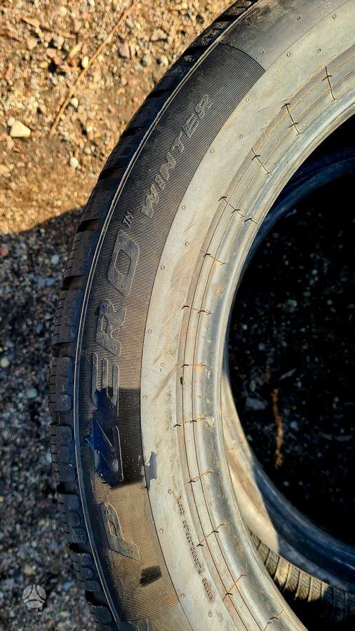 Pirelli P Zero Winter, žieminės 245/50 R19