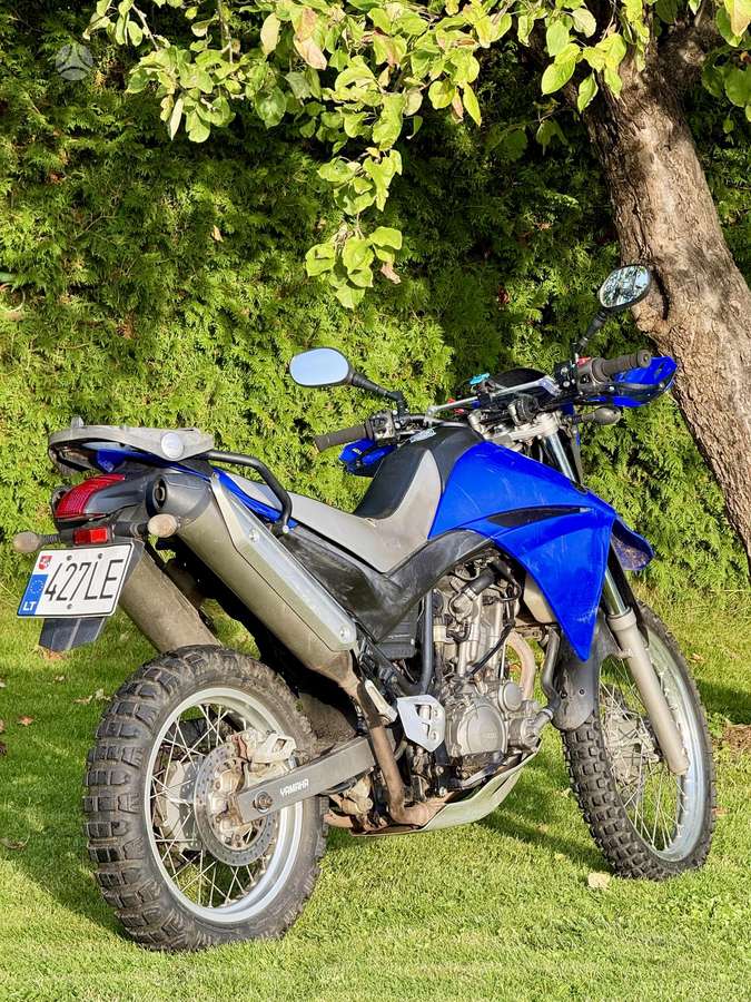 Yamaha XT (Tenere) 660cc, enduro / adventure