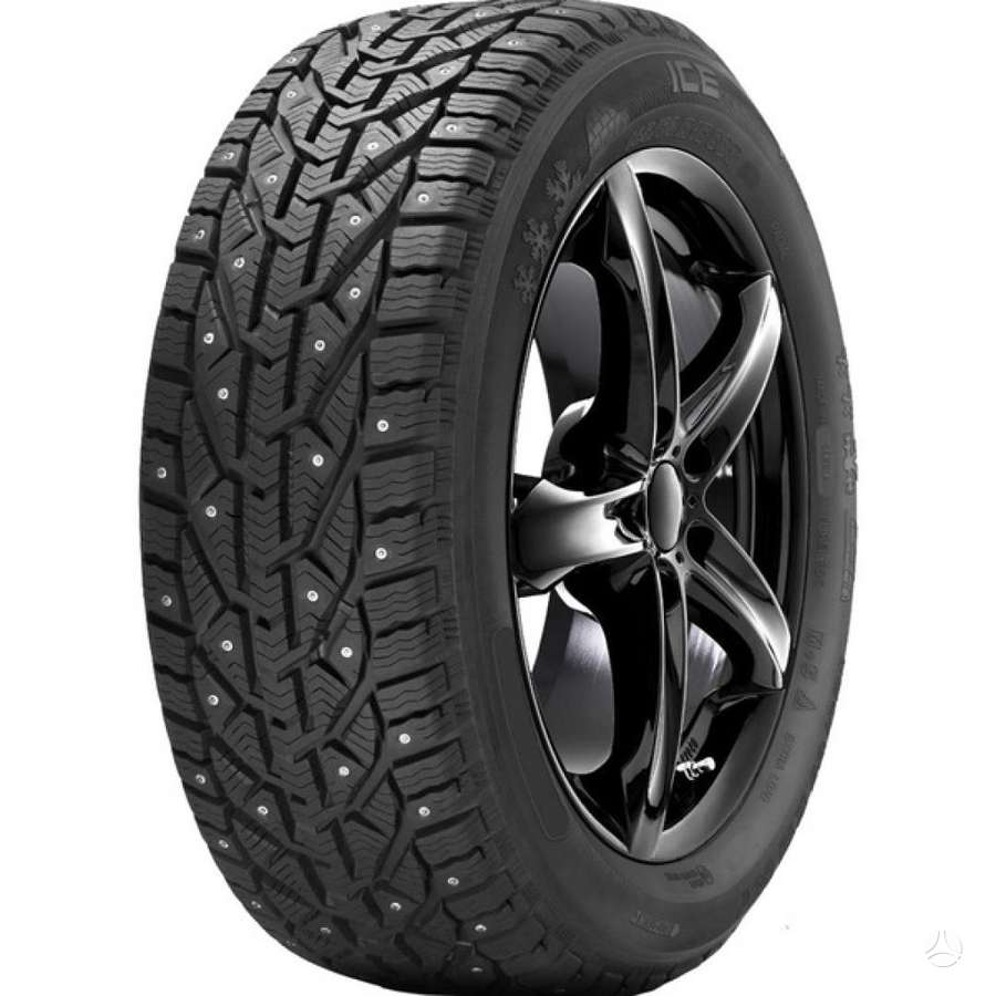 Tigar Ice, winter 205/50 R17