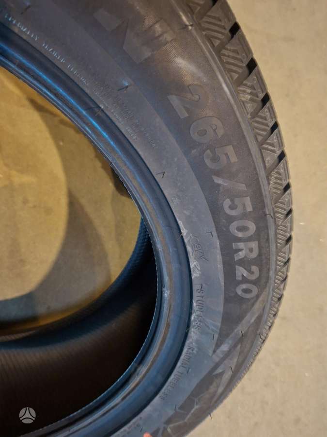 Sailun, зимние 265/50 R20