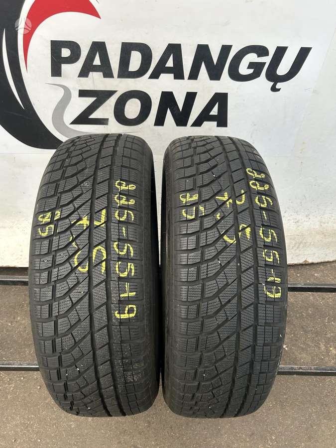 Falken Eurowinter Hs02 Pro, žieminės 225/55 R19