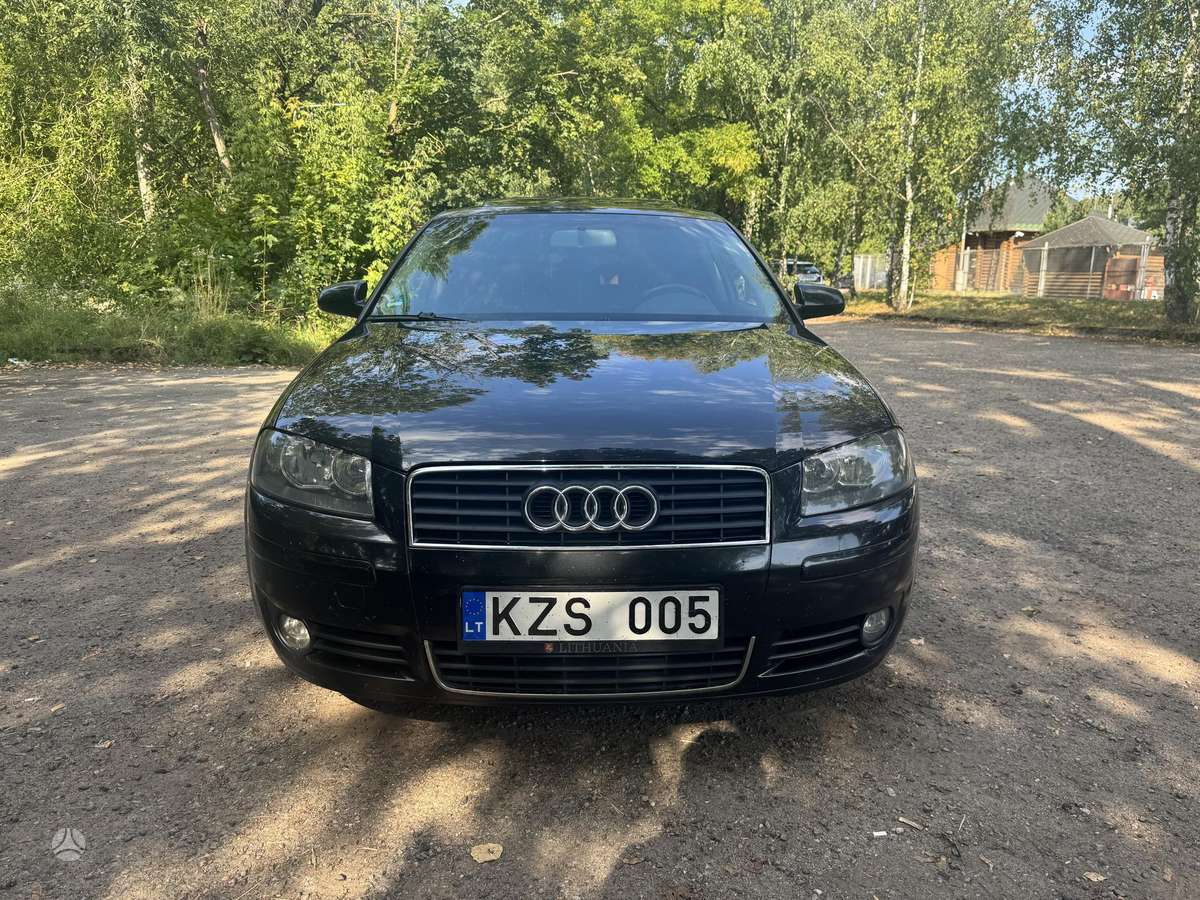 Audi A3, 2.0 l., hečbekas