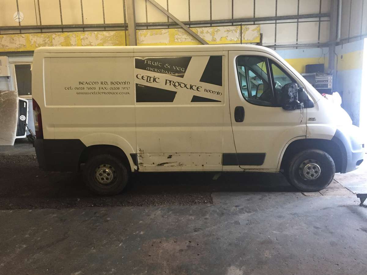 Fiat Ducato, cargo vans
