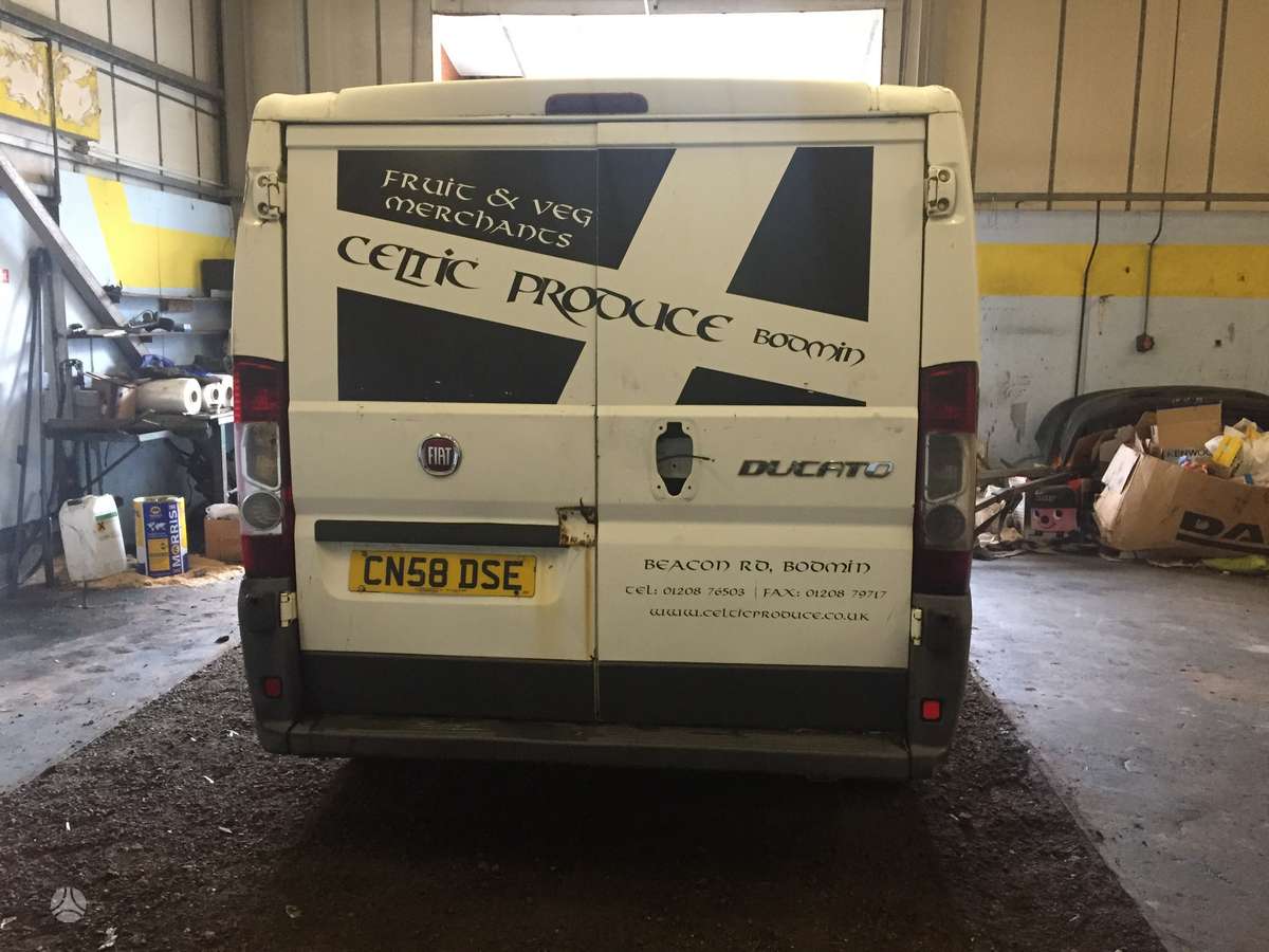 Fiat Ducato, cargo vans