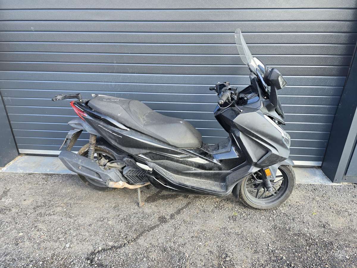 Honda Forza, scooters / mopeds