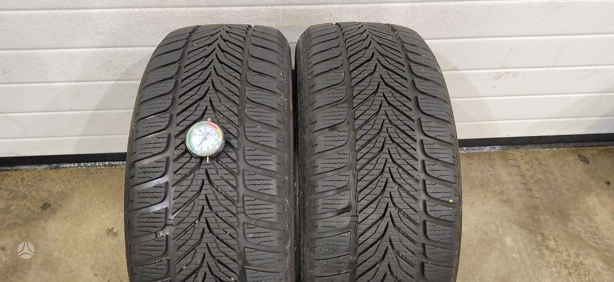 Sava Eskimo HP, winter 225/50 R17
