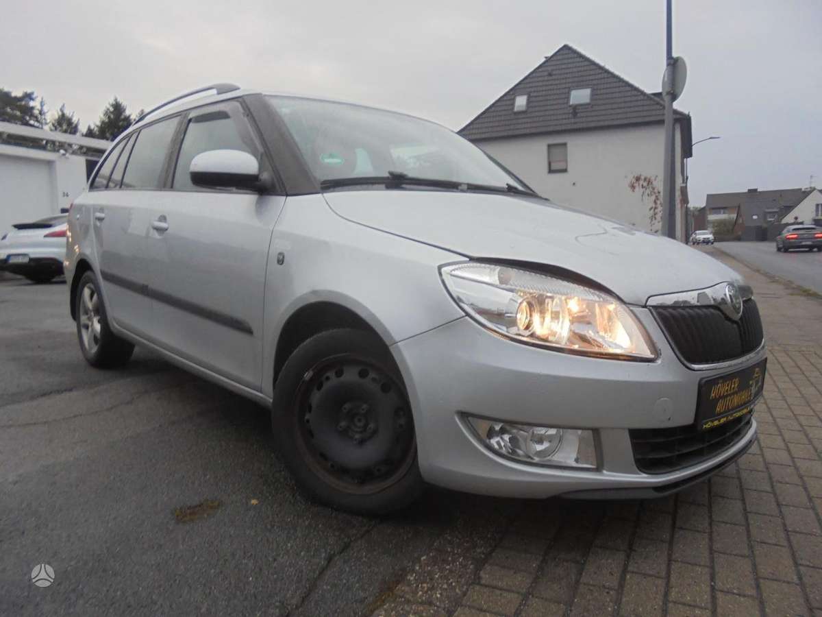 Skoda Fabia, DALYS, rezerves daļās