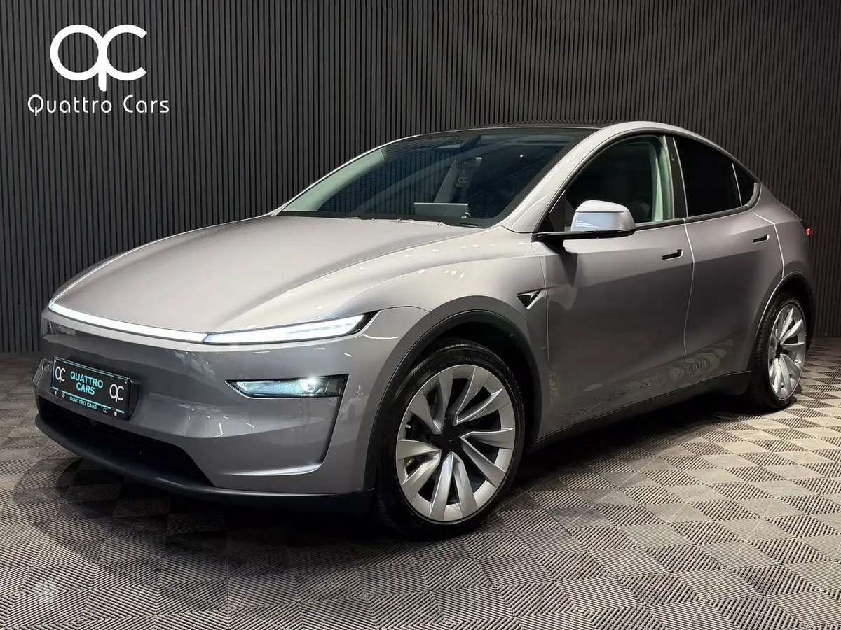 Tesla Model Y, visureigis / krosoveris