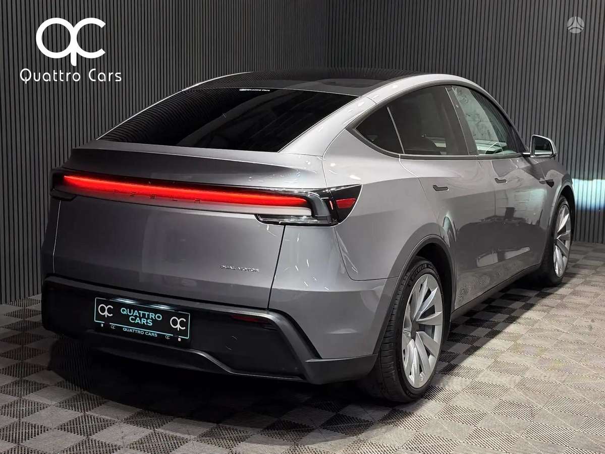 Tesla Model Y, visureigis / krosoveris
