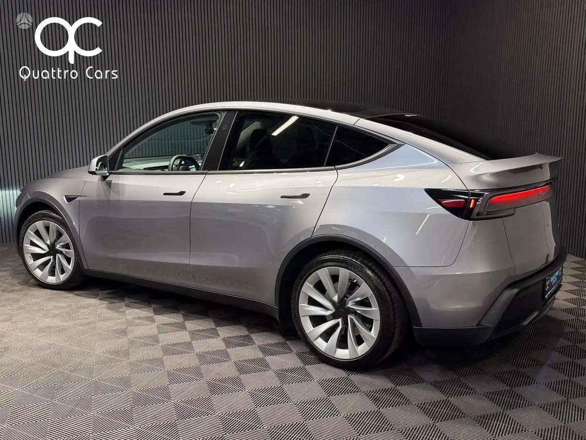 Tesla Model Y, visureigis / krosoveris