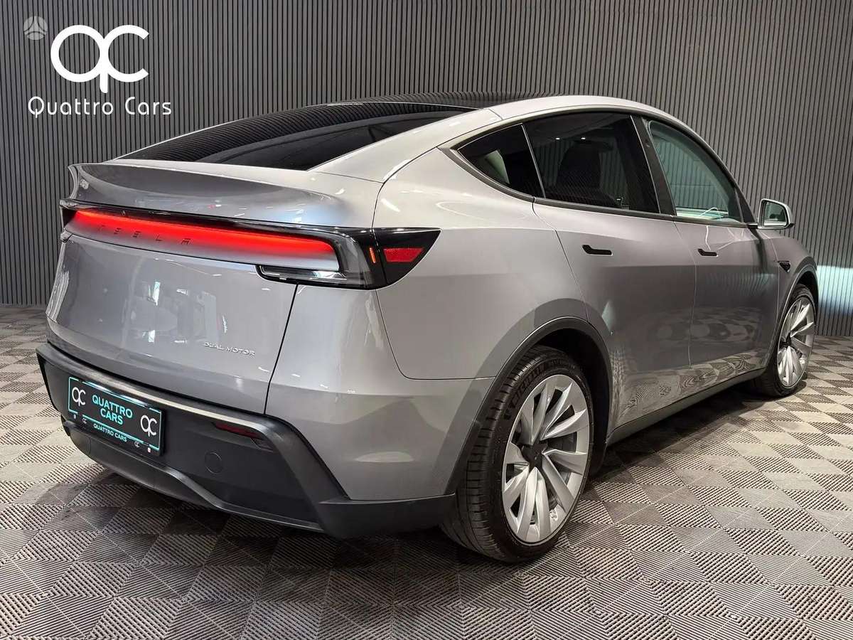 Tesla Model Y, visureigis / krosoveris