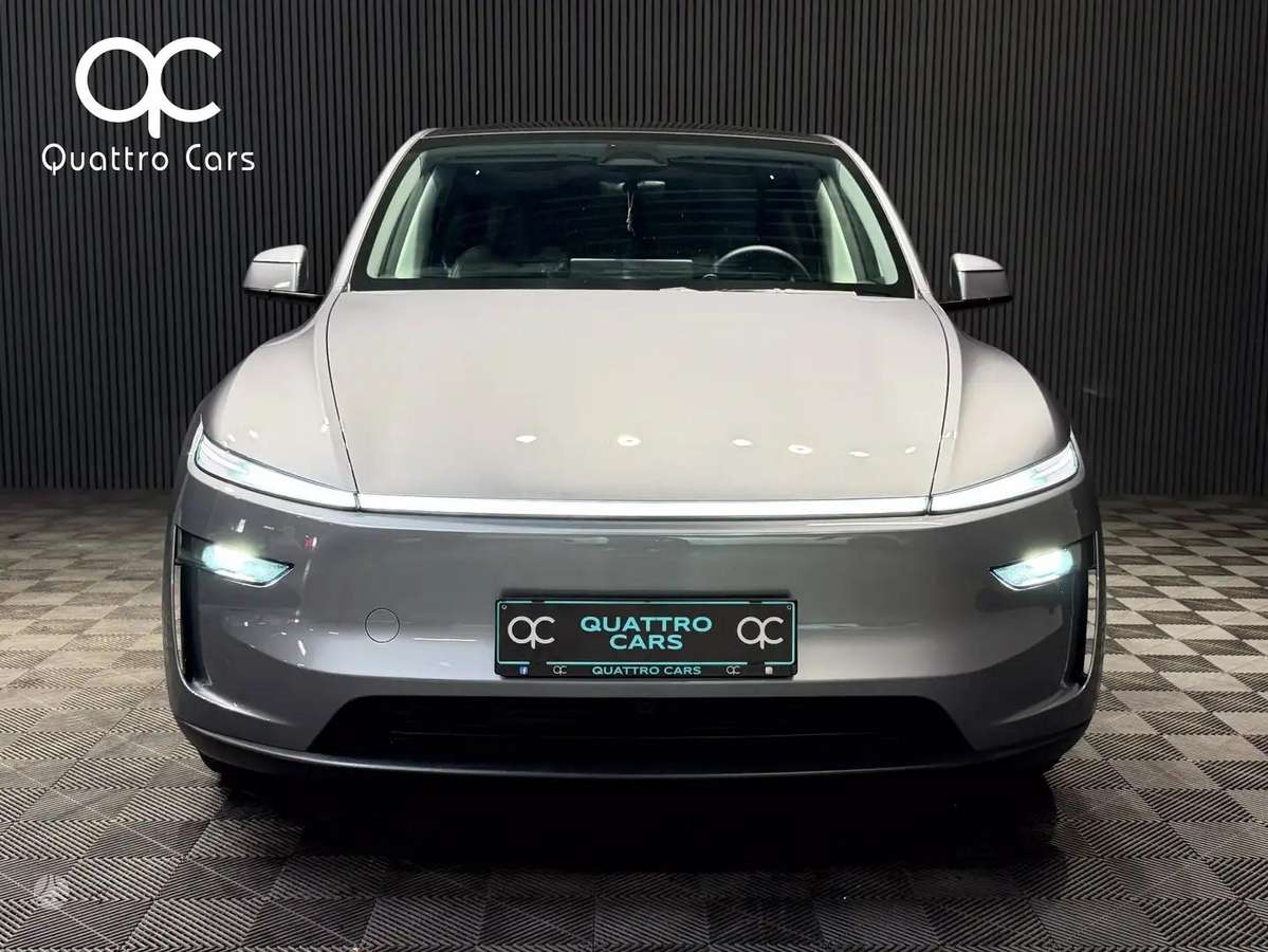 Tesla Model Y, visureigis / krosoveris