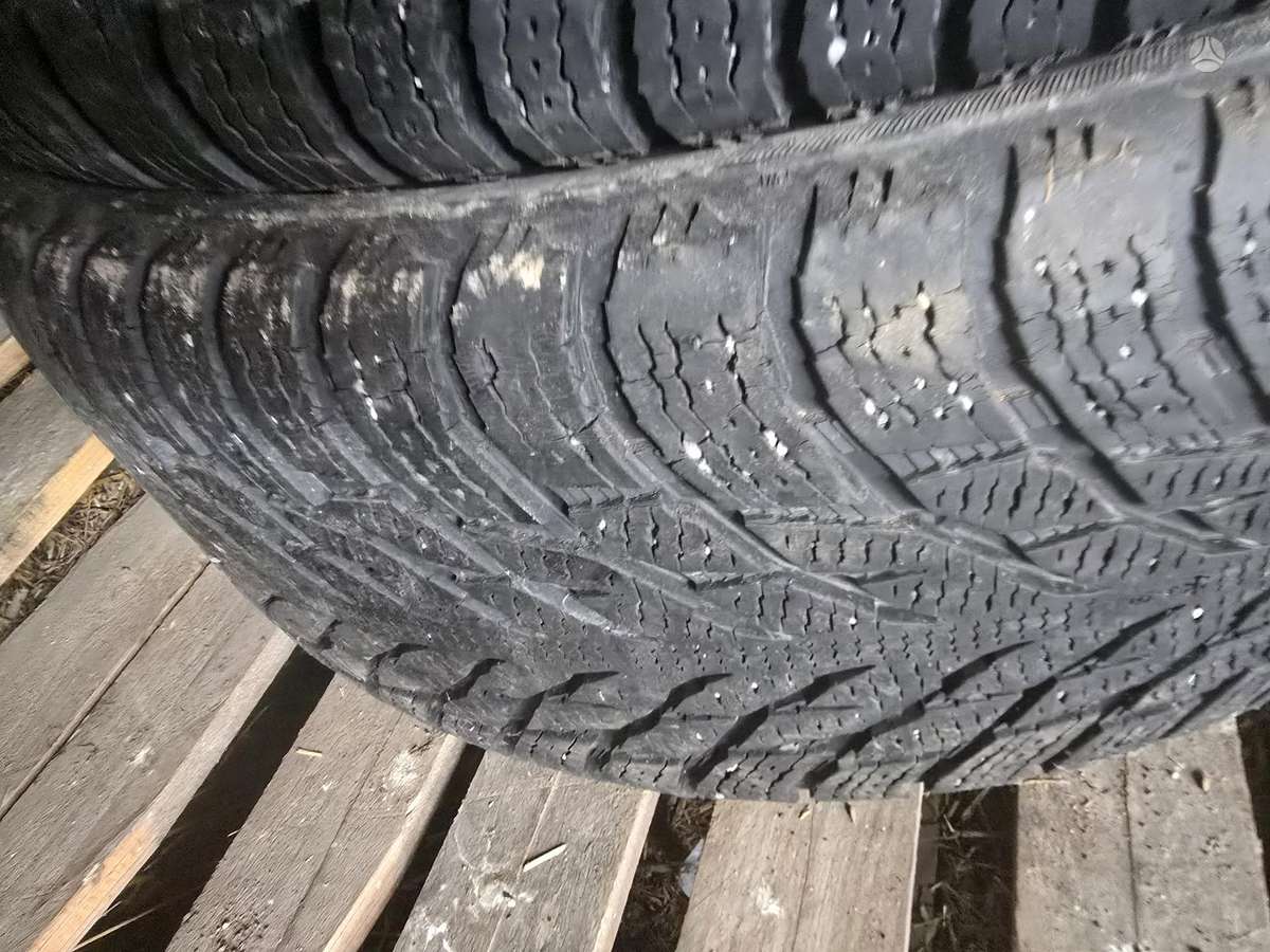 Nokian, winter 265/60 R18