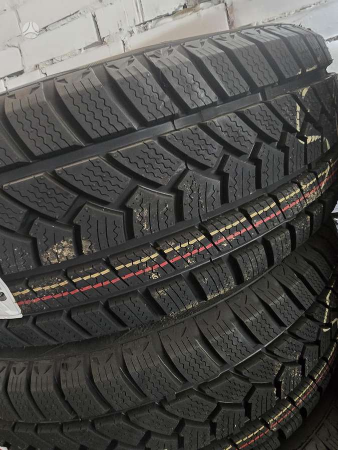 Sunfull, ziemas 225/55 R17