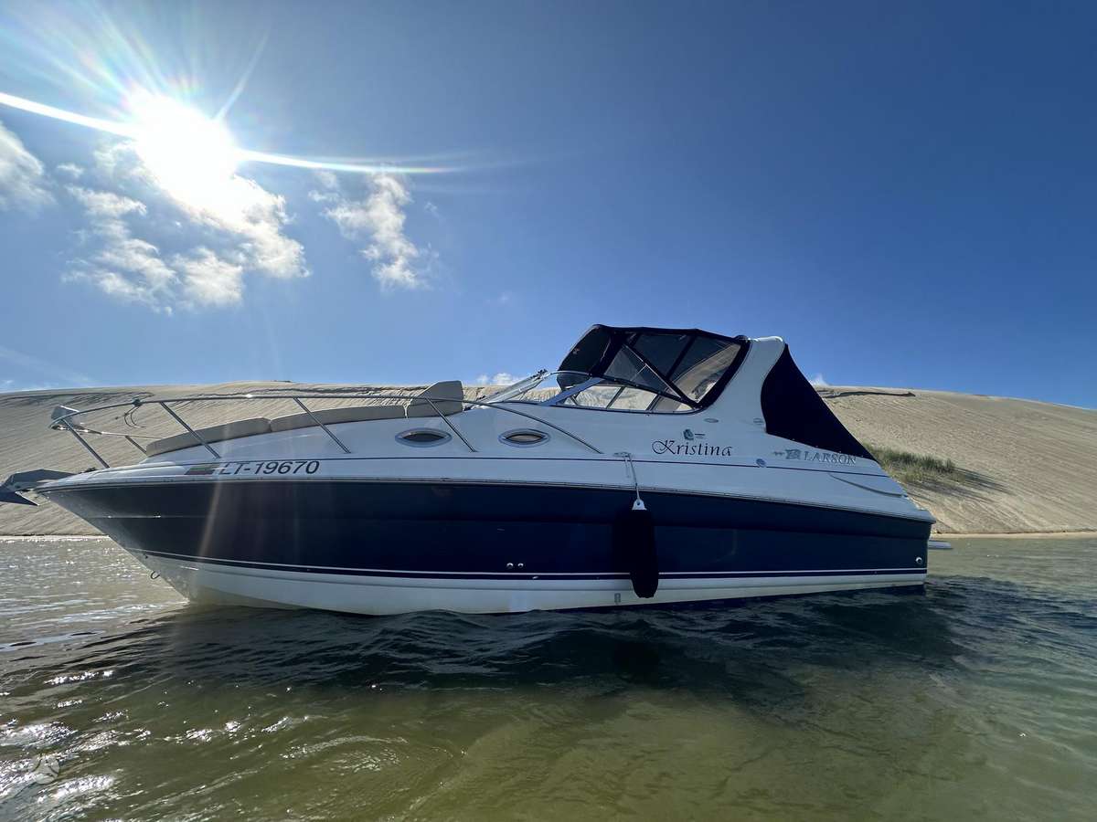 Larson Cabrio 260, яхты / катера