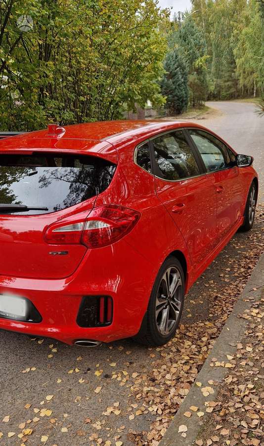 Kia Ceed, 1.6 l., hatchback