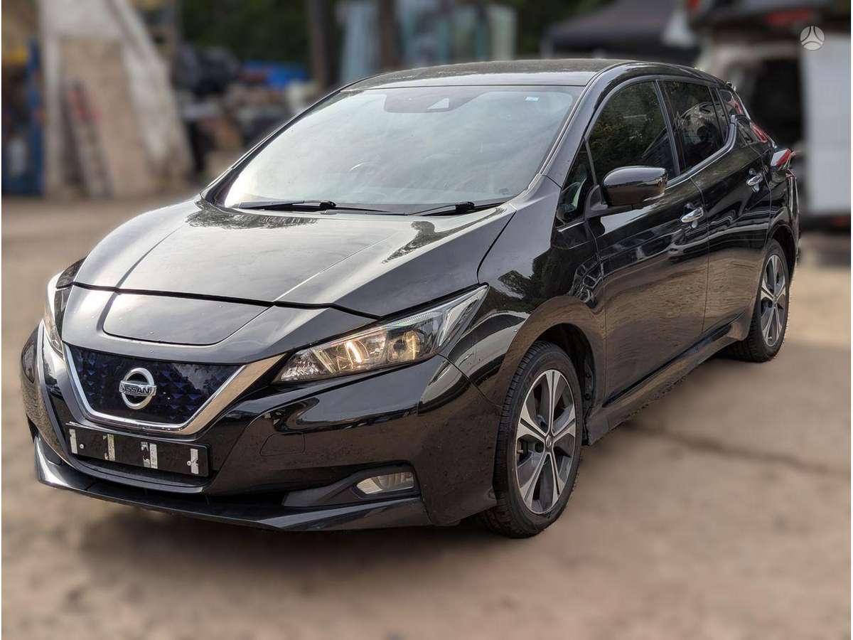 Nissan Leaf variklis
