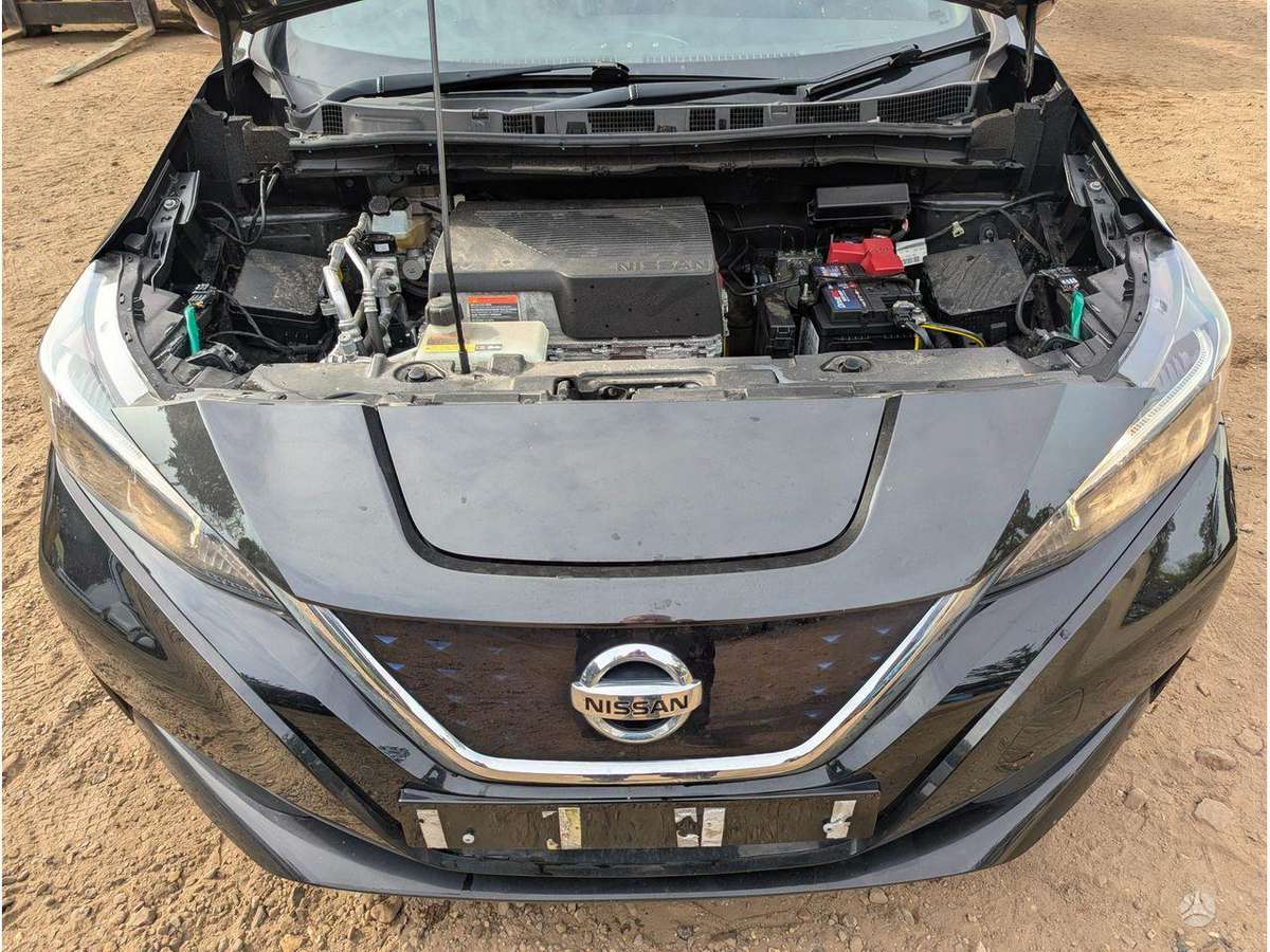 Nissan Leaf variklis
