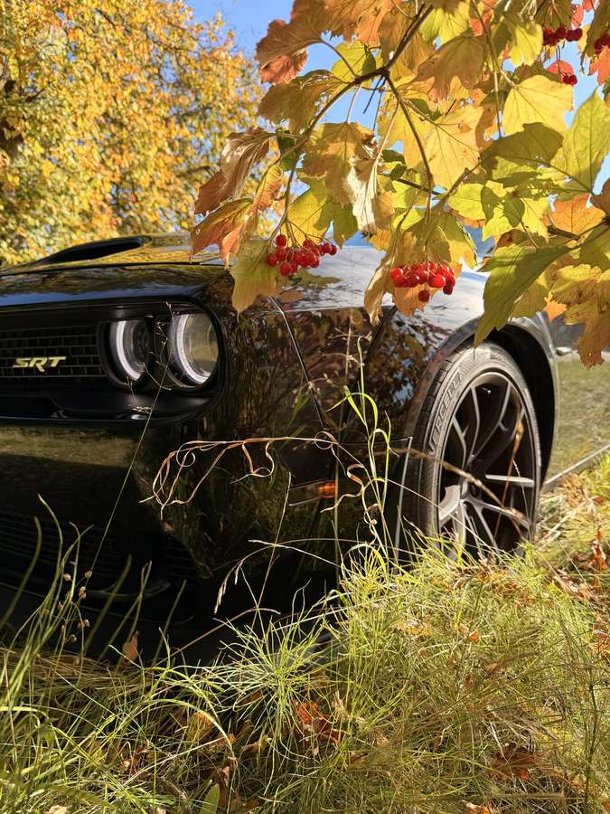 Dodge Challenger, 6.4 l., hatchback
