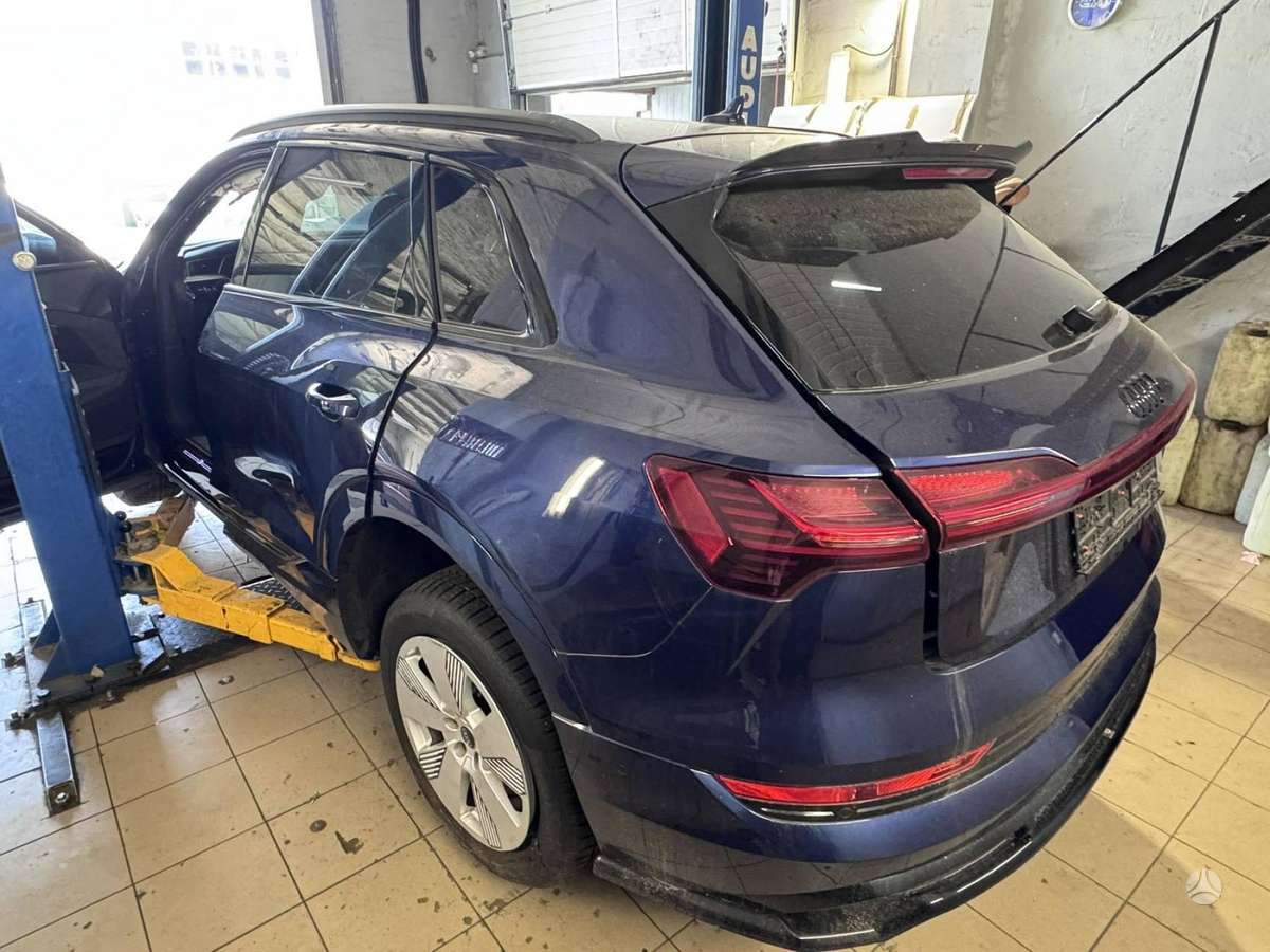 Audi e-tron dalimis