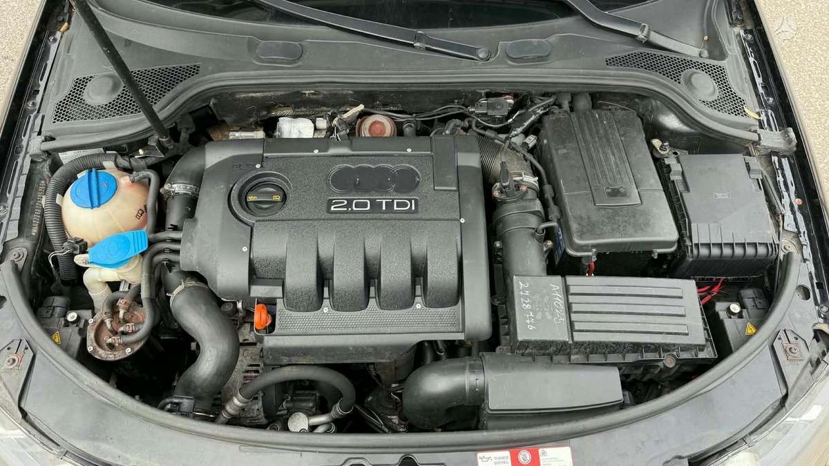 Audi A3, 2.0 l., hečbekas