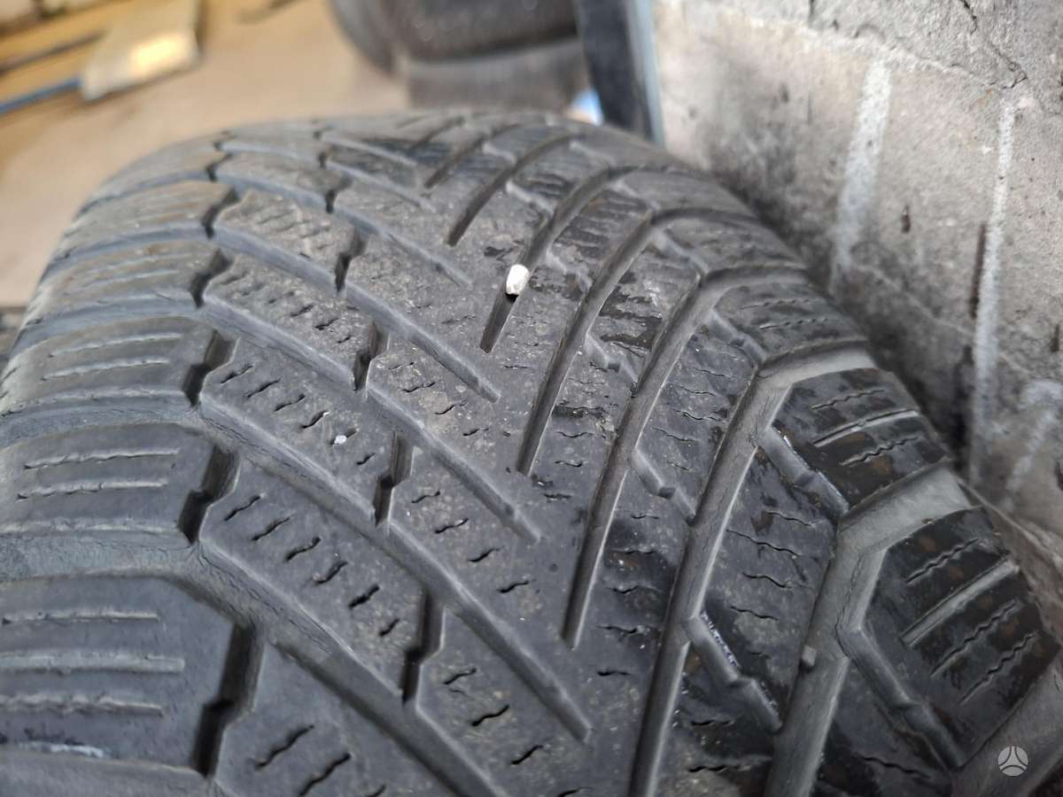 Continental, winter 195/65 R15
