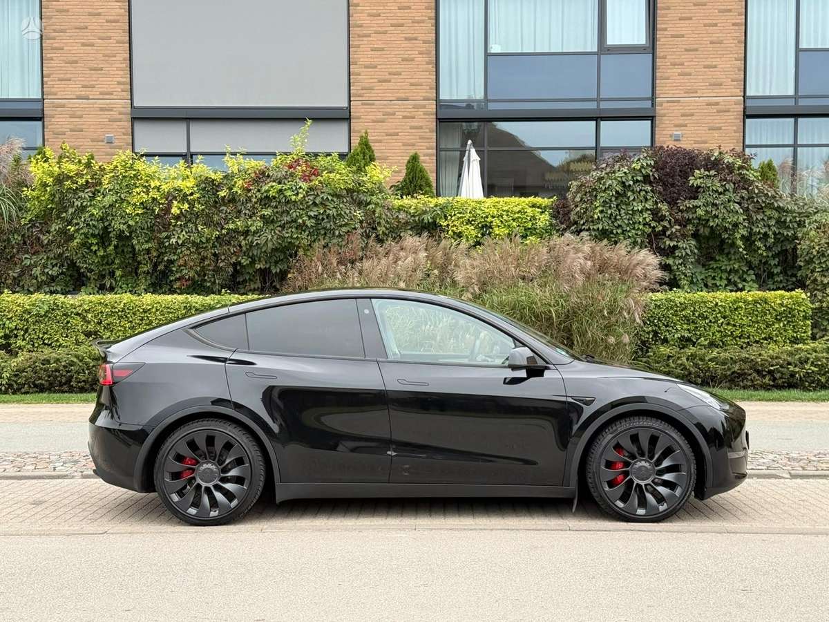 Tesla Model Y, hečbekas