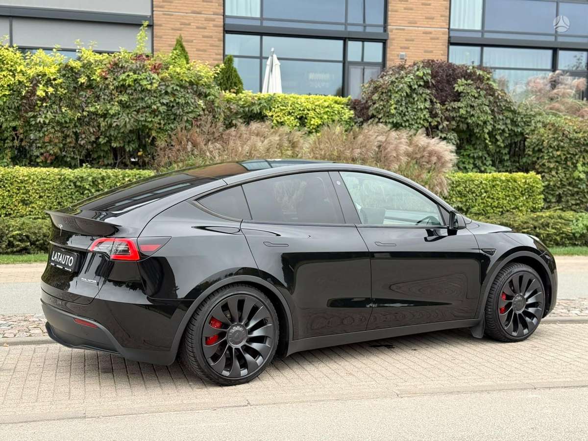 Tesla Model Y, Хэтчбек