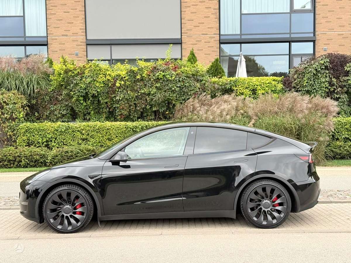 Tesla Model Y, Хэтчбек
