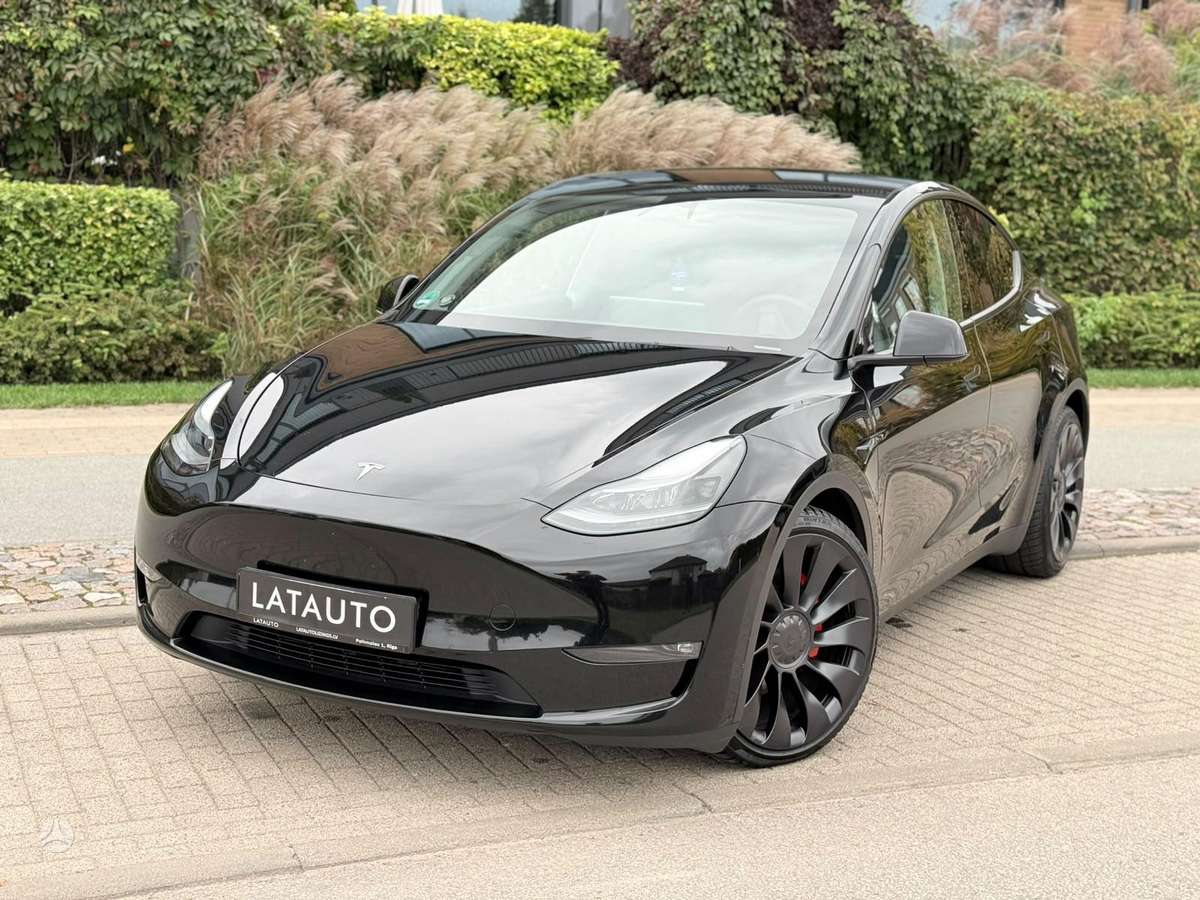 Tesla Model Y, Хэтчбек
