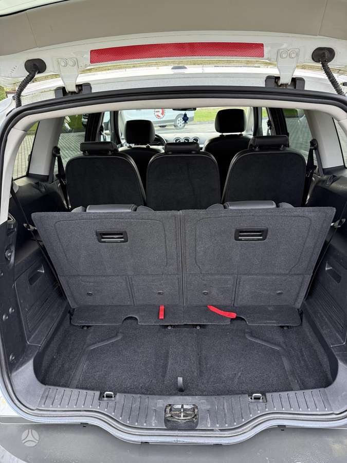 Ford S-MAX, 2.0 l., mpv / minivan