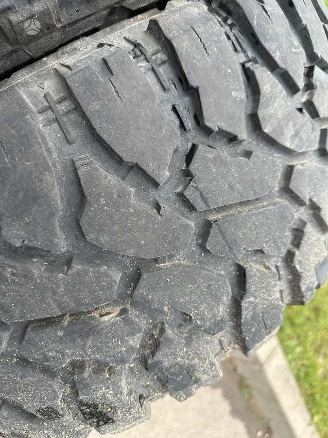 Roadcruza, летние 285/65 R18